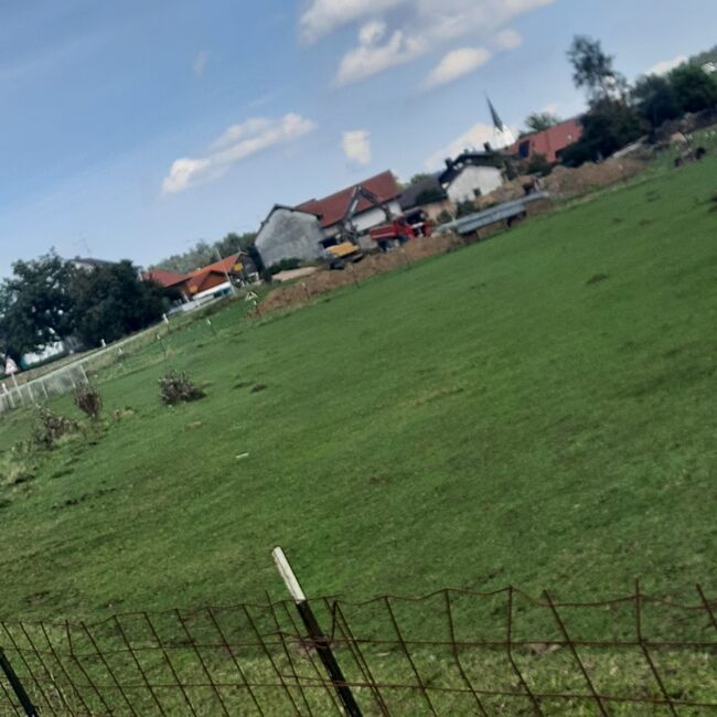 WhatsApp Image 2022-09-12 at 14.34.21 (1)
