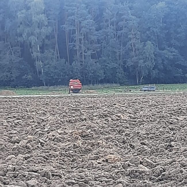 WhatsApp Image 2022-09-12 at 14.34.22 (2)
