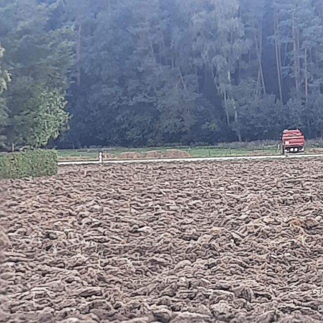 WhatsApp Image 2022-09-12 at 14.34.23 (3)
