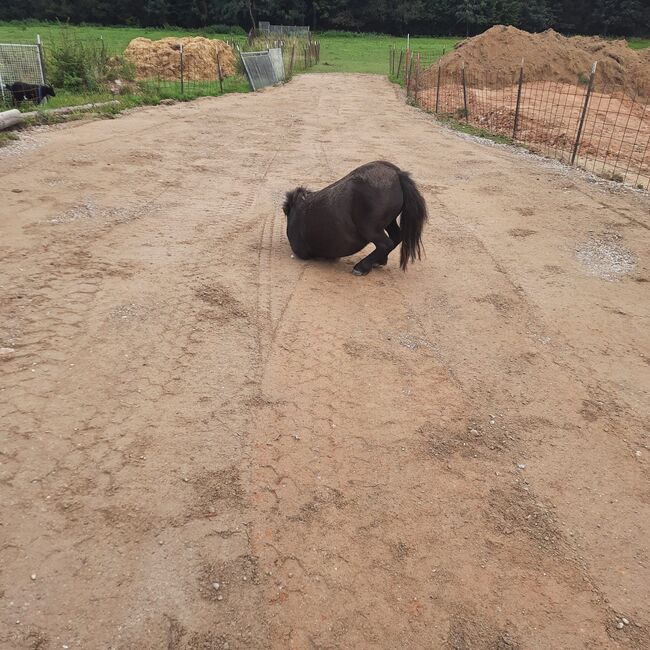 WhatsApp Image 2022-09-13 at 20.21.04 (1)
